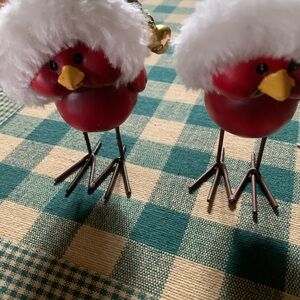 Cute little Red Birds